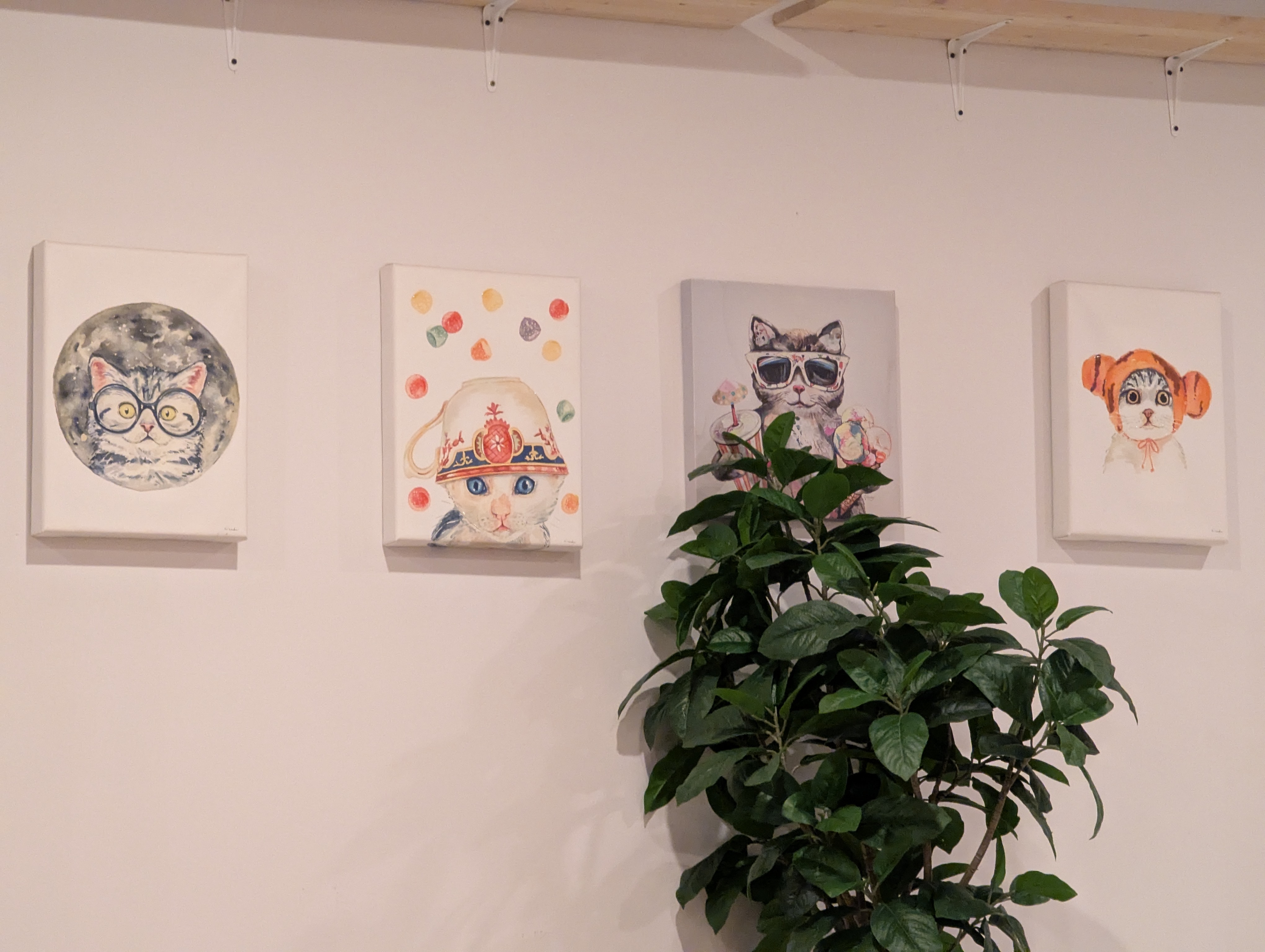 Birthday Trip to Canada, Cat Cafe, Edmonton